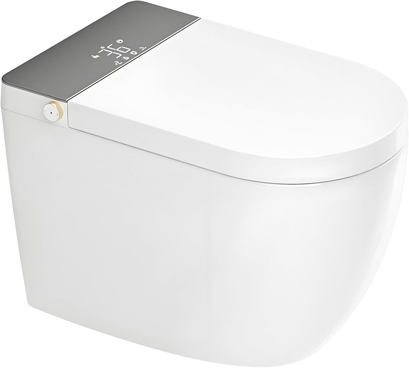 Smart Toilet Bidet with Tank Built In review