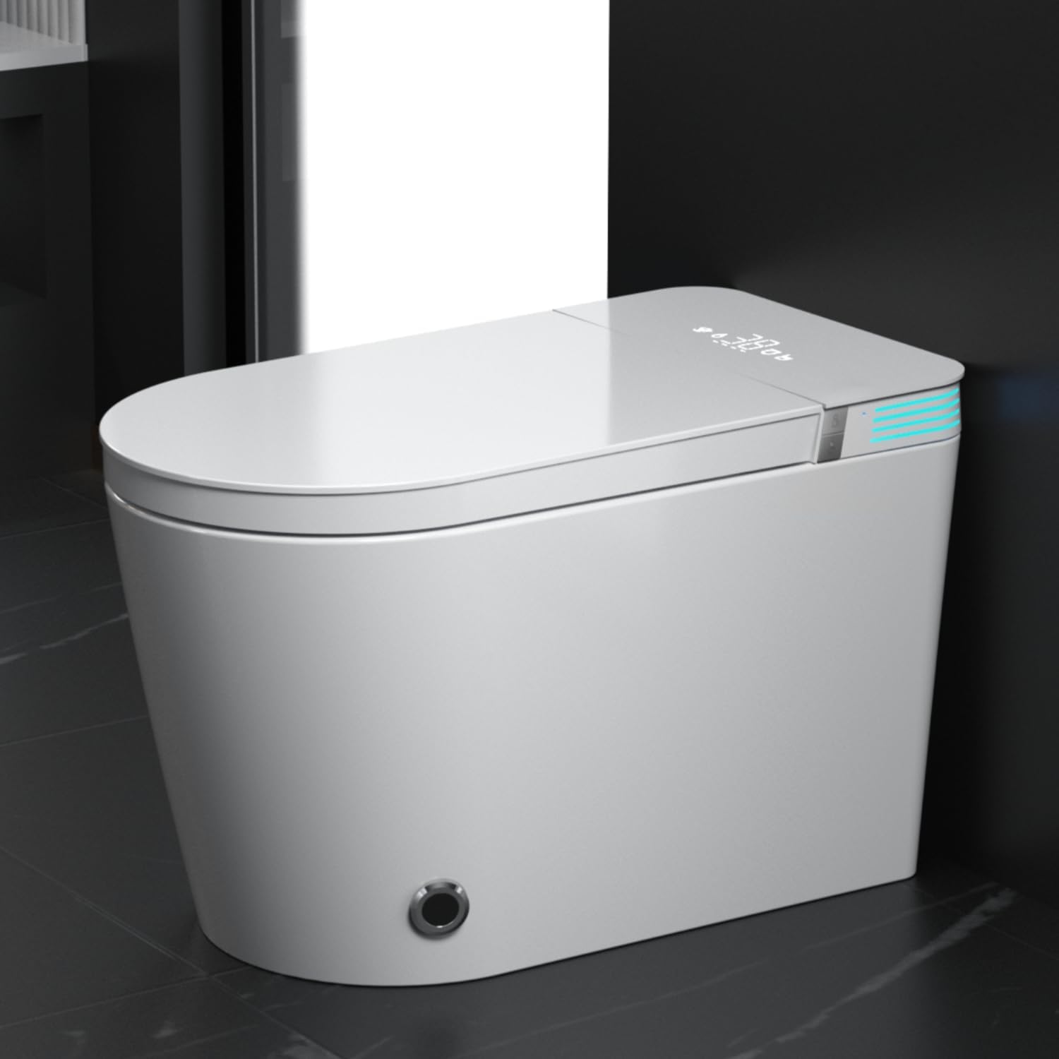 Smart Toilet CY02 Voice Control Review